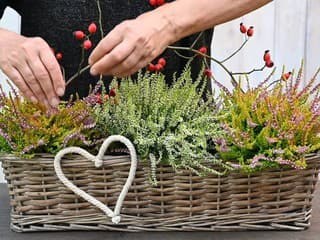 VIDEOTIP Jesenná výzdoba v kvetináči: Rýchla dekorácia na okno alebo ku dverám