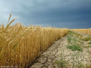 Počasie sa upokojí len na chvíľu: Teploty vystúpia k 30 °C, potom príde nepríjemný zvrat